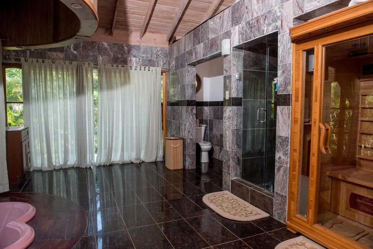 Music Mansion Hotel Montego Bay 4*,  Jamaica